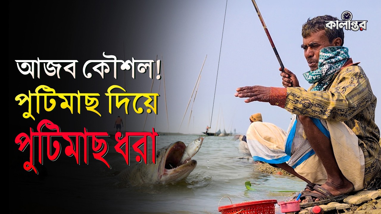 পুটিমাছ দিয়ে তৈরি টোপ খেয়েই বঁড়শিতে আটকে যাচ্ছে মাছগুলো! | Kalantor