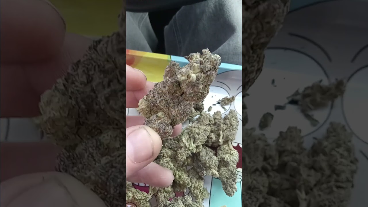 Biscotti ⛽ 🔥🚒 🍪