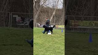 Download Lagu RO Beginner ,Aris 88 Punktr MP3