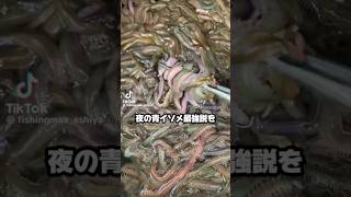 夜のアオイソメ最強。