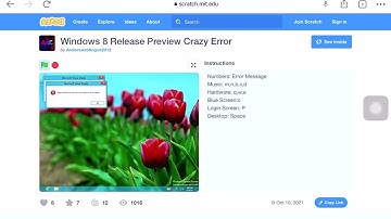 Windows 8 release preview crazy error