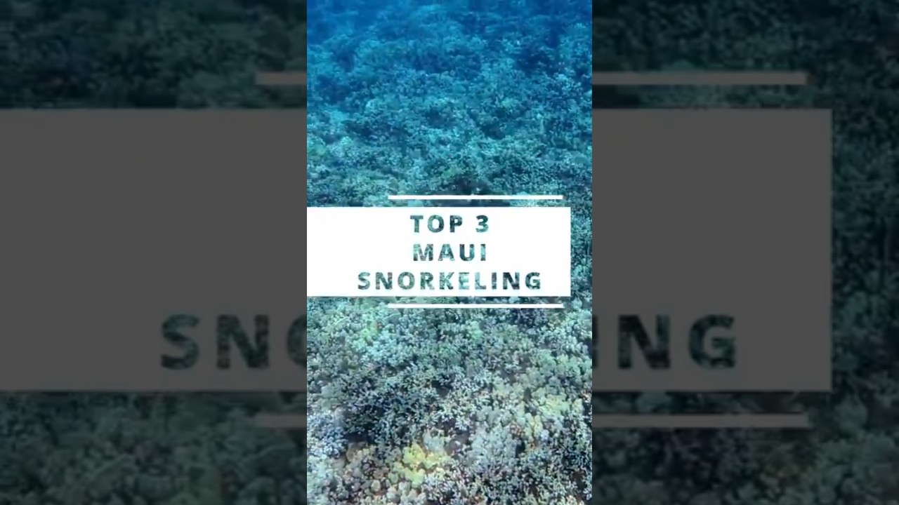 Наши три лучших места для снорклинга на Мауи, Гавайи 🐟 Какое место вам больше всего нравится? 