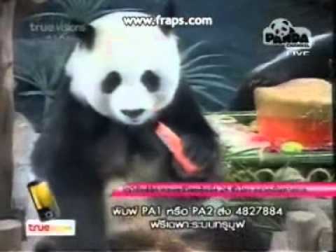 Lin Hui's 9th Birthday Celebration
