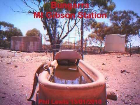 Bungarra at Mt Gibson Station