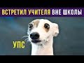 Школьные приколы. ВСТРЕТИЛ УЧИТЕЛЯ НЕ В ШКОЛЕ | Мемозг #116