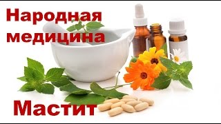 Лечение мастита в домашних условиях народными средствами