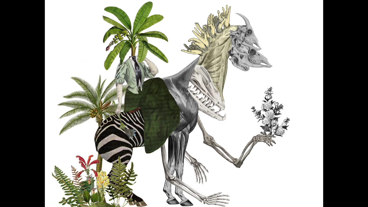 Vs. The Sister Goddesses