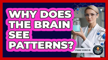 Why Does The Brain See Patterns?