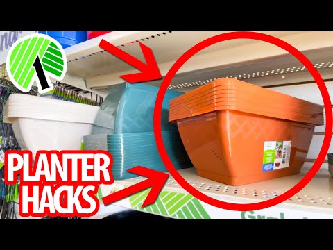 GRAB $1 PLANTERS from the Dollar Store for these CRAZY GOOD HACKS! (everyone will be copying