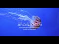 سورة الفرقان من آيه ٧٠ تلاوة بصوت الشيخ إبراهيم إدريس mp3