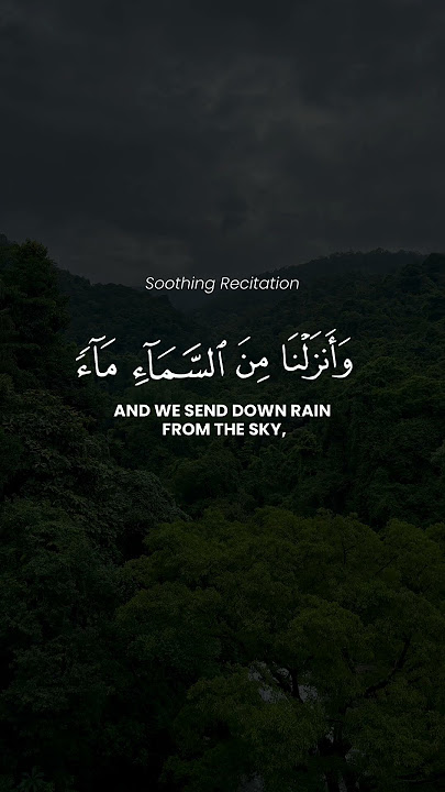 This is Allah's creation | Yasser Al-Dosari