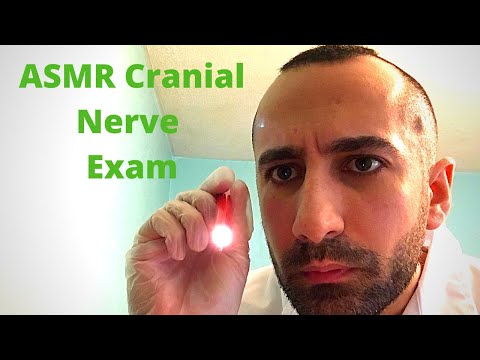 Cranial Nerve Exam For Humans ASMR (Role play)