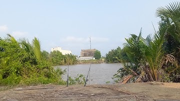 Câu cá bống đục ở Lý Nhơn - Cần Giờ