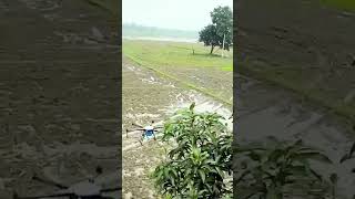 Drone Sprayer. #agriculture#agridrone #agritech #drone #modrenfarming #paddy #spray#hashtag