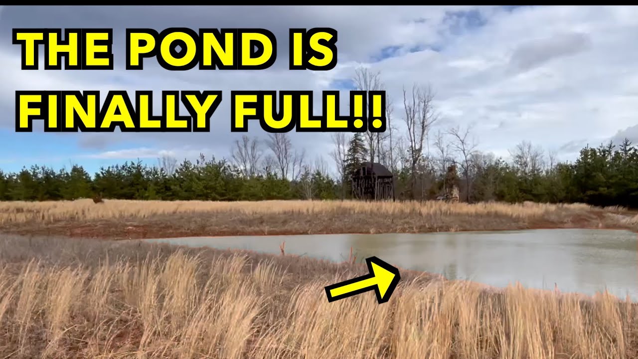 The Pond Is FULL!  But will it stay that way?