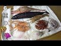 【メンダコ】６種類の深海生物を使って〇〇〇を作ってみた。【コビトザメ】