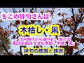 【俳句さんぽ・第39回】木枯し・凩（冬の季語）江戸時代からチャレンジされてきた海、湖、川との配合。#俳句#俳句鑑賞#俳句朗読