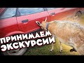 Целая бригада трудилась на благо хутора . Несколько экскурсий приняли одновременно .