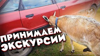 Целая бригада трудилась на благо хутора . Несколько экскурсий приняли одновременно .