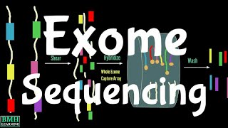 Exome Sequencing | Whole Exome Sequencing | WES | Whole Exome Sequencing Analysis |
