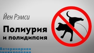 Полиурия и полидипсия. Polyuria / Polydipsia