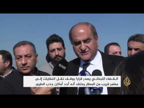 طيور النورس تهدد الملاحة بمطار بيروت