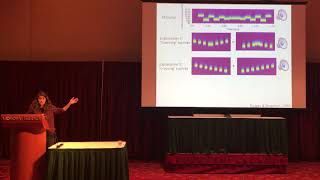 Maddie Cusimano: Bayesian Auditory Scene Analysis at CogSci 2018