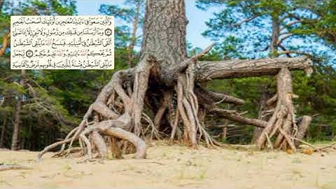 338-page سعد الغامدي - -سورة الحج Al Hajj -22