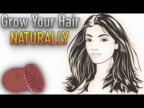 How to Stop Hair Loss NATURALLY with Scalp Massage | How to Grow Hair Faster | Morrocco Method