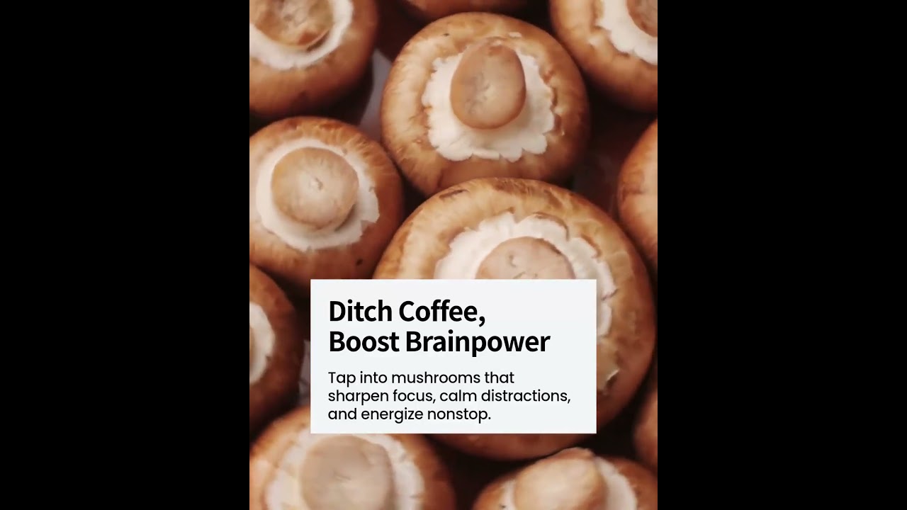 #globalcompanyreview