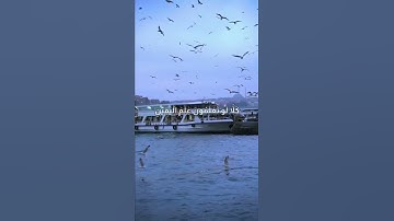 سورة التكاثر