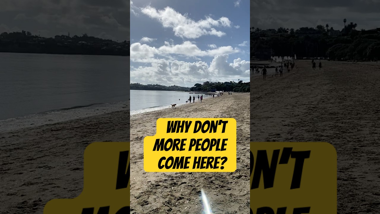 Peaceful, quiet Kohimarama beach, Auckland New Zealand 