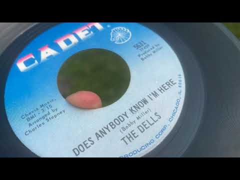 The Dells, 'Does Anybody Know I'm Here'