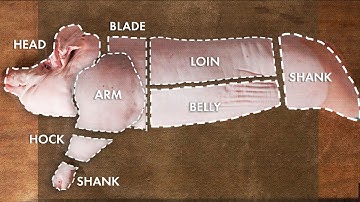 How One Pig Becomes Hot Dogs, Bacon, Salami, and More | Great Transformations | Bon Appétit