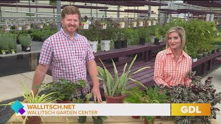 GDL: Binnentuinen met Wallitsch Garden Center