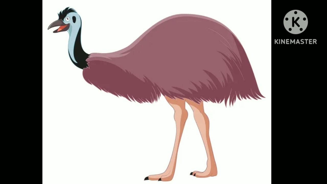 Emu Sound Effects YouTube