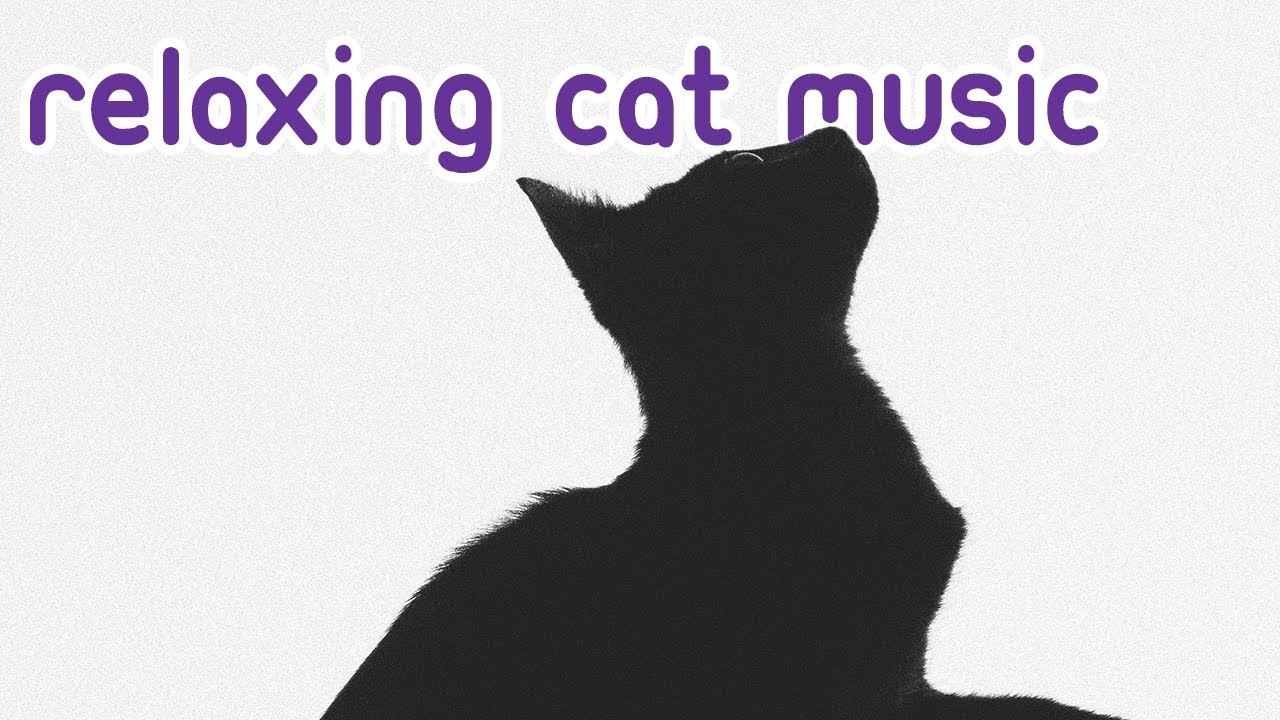 music video download Relaxing Cat Music - Cat Therapy 2019 💤