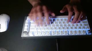 GMMK pro with lubed Kailh Speed Silver switches.