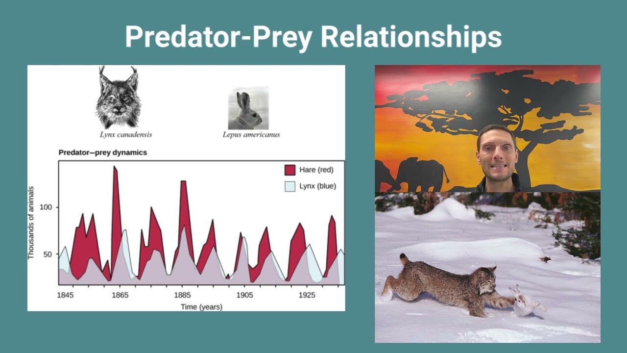 C4.1 Populations & Communities Part 2
