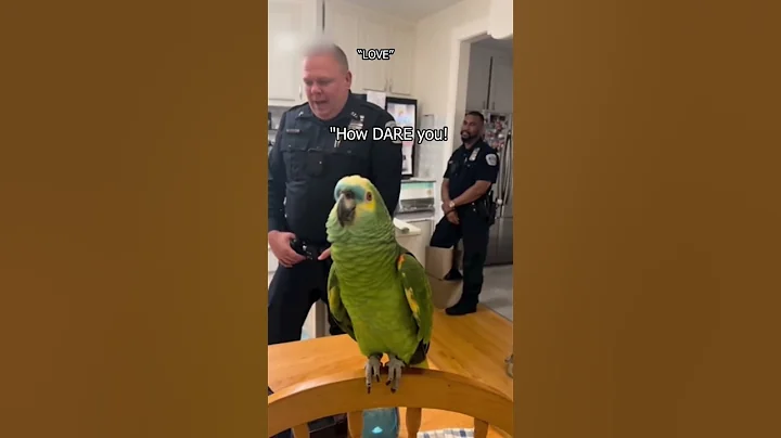 This parrot Ended Officer's Citizenship