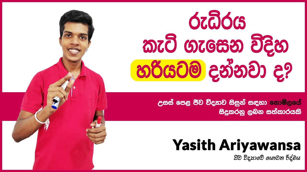 රුධිරය කැටි ගැසීම සිදුවන ආකාරය | How does our body clot Blood?