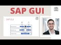 SAP GUI - The most important things you need to know