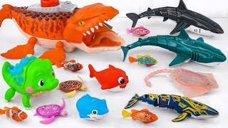 [Toy asmr] Crocodile & RC Shark & Baby Shark &Zuru Robo Alive Aquarium ASMR Satisfying with Unboxing screenshot 5