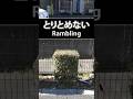 【rambling#shorts】#animation #anime #アニメーション