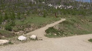 the search continues Thursday for missing hiker Tatum Morell