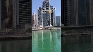 The Beautiful Dubai Marina Walk
