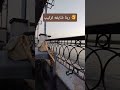 ربنا شايفه ترتيب Fy Foryou Fyp Foryoupage Shorts Short Viral Explore Shortvideo Shortsfeed 