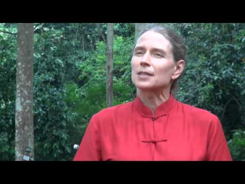 Frances Seymour: Why forests matter at Rio+20