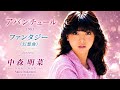 アバンチュール (아방튀르)         ファンタジー 〈幻想曲〉판타지  〈환상곡〉         -     中森明菜(Akina Nakamori/나카모리 아키나)