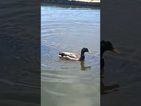 Parque da cidade de Vila do Conde